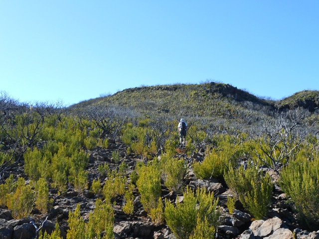 Passage encore plus facile sur la trace du sentier discret