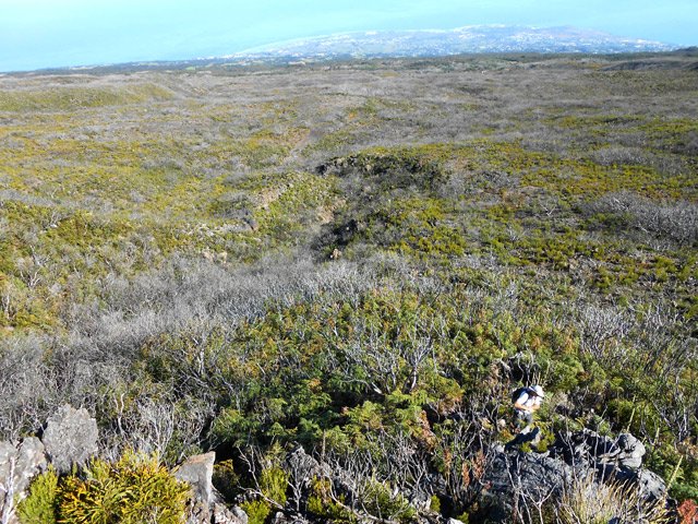 Une idée de la Planèze du Maïdo