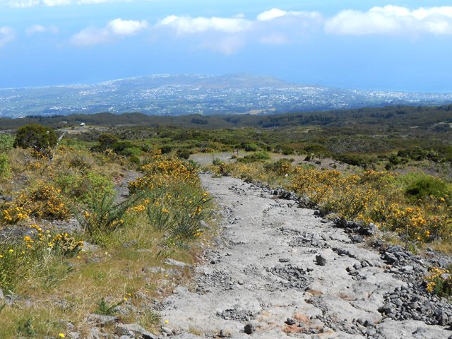 Plaques de lave et basalte après le Maïdo