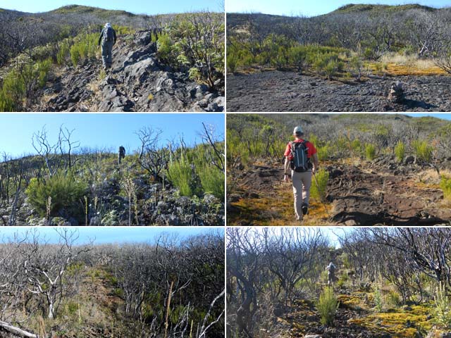 Quelques portions de ce sentier tout en montée plus un cairn "randopitons" (vignette 2)