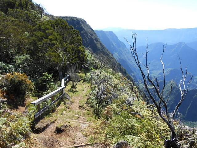 Le sentier herbeux en direction du piton des Orangers