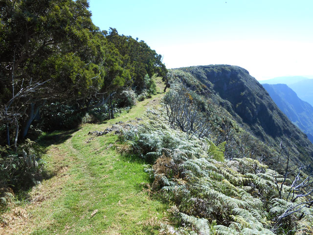 Bientôt la fin des splendides panoramas à l'arrivée au Piton des Orangers