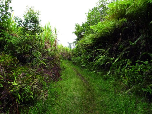 La piste herbeuse qui mène au rempart
