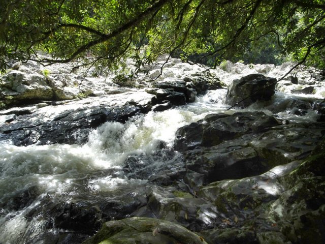 La rivière, abritée sous les arbres, est aussi belle que la chute