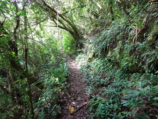Retour sur le sentier principal, toujours aussi bien marqué