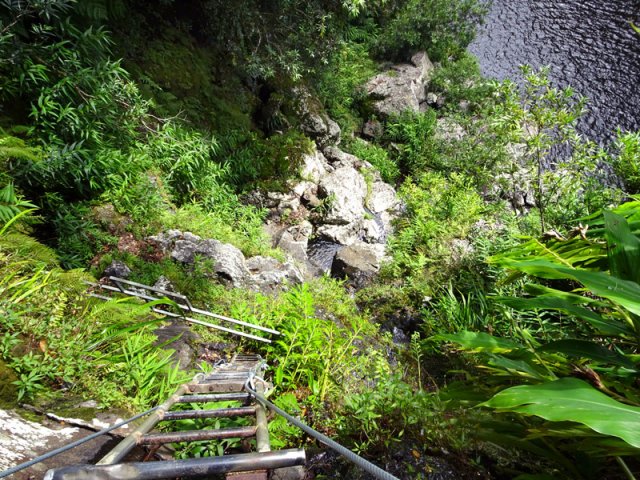 Une idée de la verticalité de l'échelle permettant d'en atteindre le haut