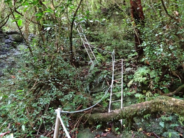 Nouvelle grimpée courte mais forte pour atteindre le captage