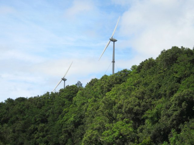 On aperçoit les hélices de la ferme éoliennes depuis certaines trouées