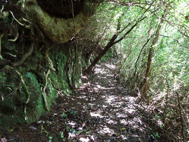 Quelques belles portions plates permettent de souffler un peu