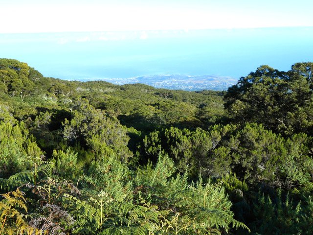 Quelques points de vue sur Le Port