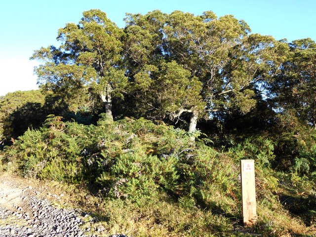 La piste officielle pour les VTT
