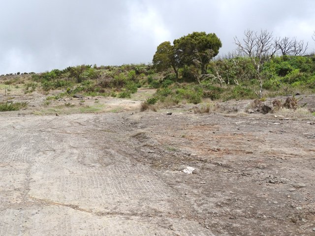 Quelques portions creusées par les engins qui reposent des cailloux