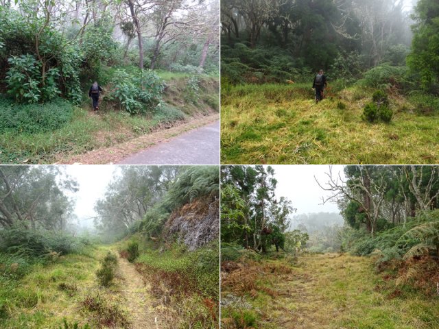 Quelques portions du sentier du Milieu