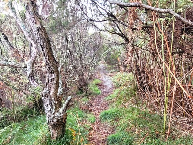 Le sentier permet d'éviter les lacets de la route