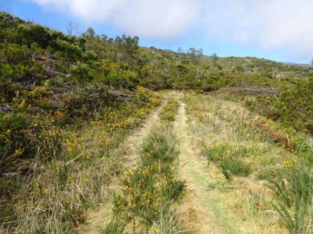 Toujours aussi facile de se balader sur cette piste verdoyante