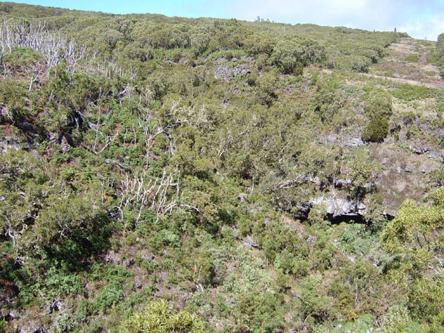 Paysage en fin de boucle avec un pare-feu