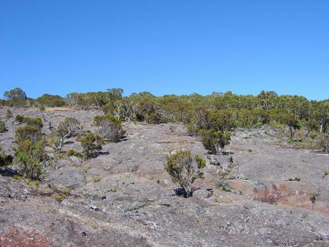 Rien ne peut pousser sur ces dalles de basalte surchauffées au soleil