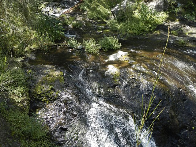 L'eau, en général, est peu profonde si on est contraint de marcher dans le ruisseau