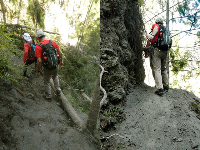 Deux portions sableuses glissantes et déjà recouvertes de jouvences