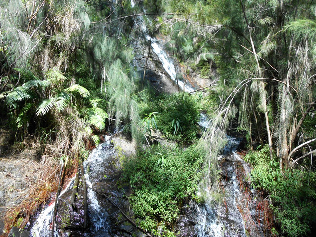 La cascade venant du Bras Rouge à travers les filaos