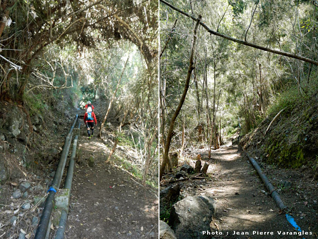 Le sentier du captage et ses tuyaux