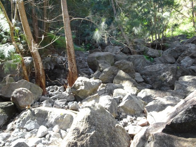 Traverser la ravine ou la longer en fonction du terrain