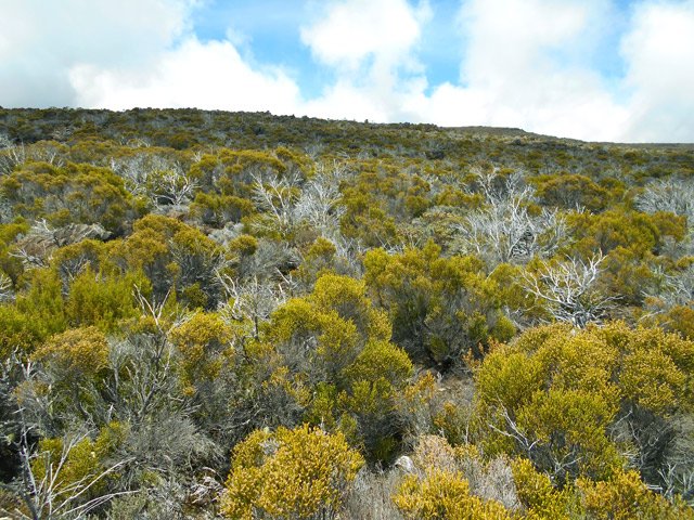 Une idée du paysage avant d'arriver à la Glacière