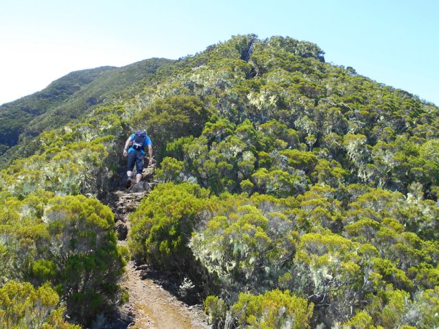 On aperçoit une nouvelle échelle au sommet de la colline
