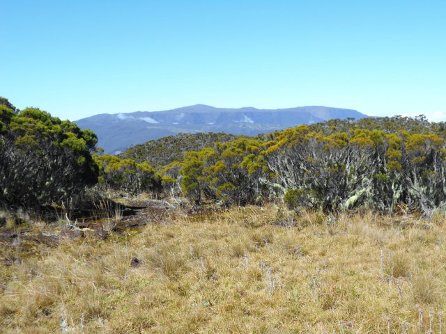 Une zone humide, juste avant de parvenir au Sommet de l'Entre-Deux