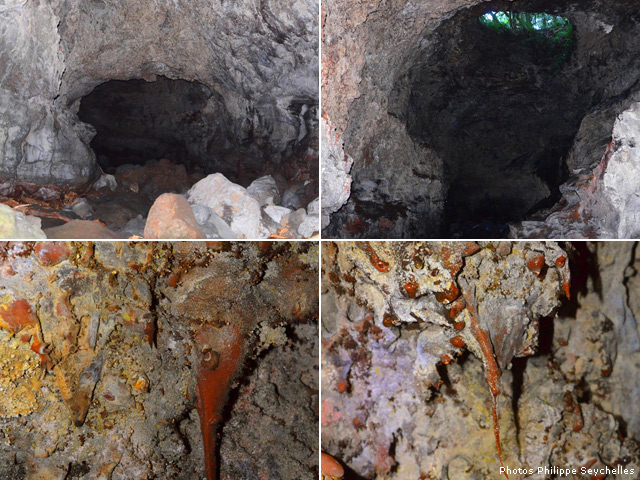 Des petits tunnels ou concrétions sur les parois