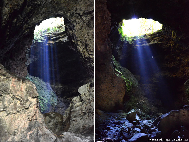 Deux autres trouées dans le plafond. La mousse pousse là où la lumière se dépose