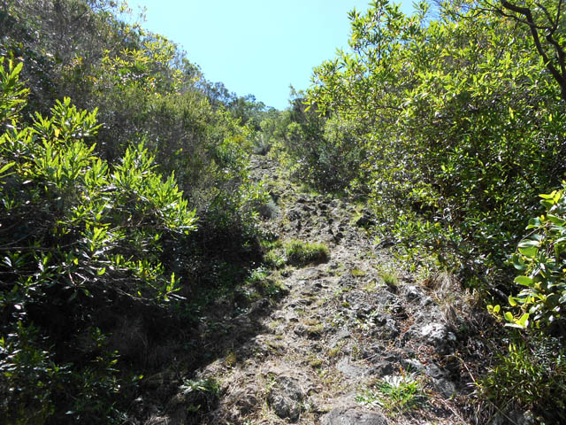 Un exemple du sentier de descente sur les plaques de lave inégales