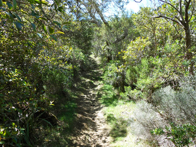 Le sentier assez facile avant d'arriver aux autres tunnels