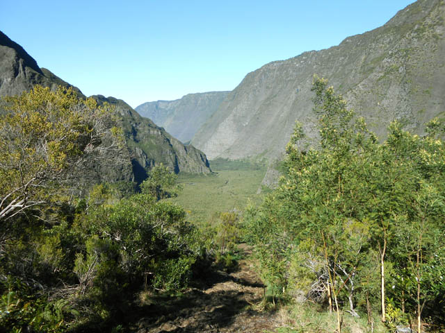 Demi-tour dans les acacias à moins de poursuivre vers Roche Plate au fond de la vallée