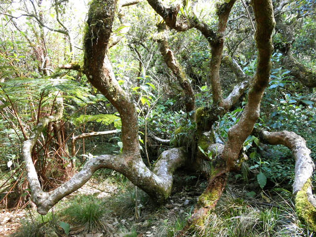 Tout est prévu pour s'asseoir à la première halte en bas du rempart