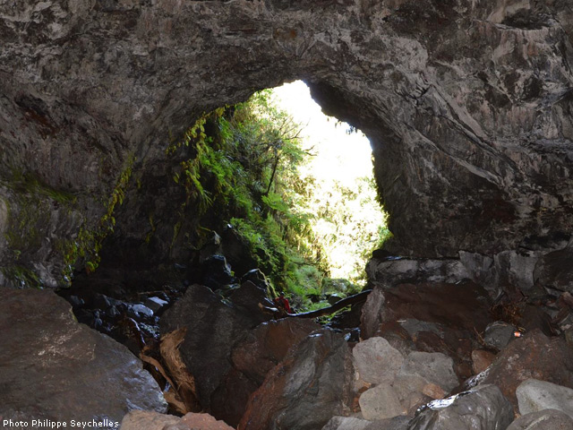 Une partie du premier tunnel situé sous la pancarte de l'ONF