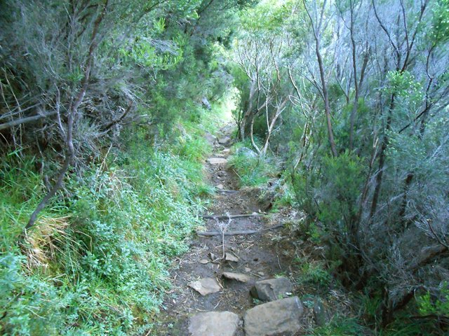 Début de la descente vers Roche Plate