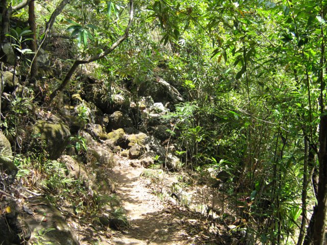 Le sentier de remontée est semblable;à celui de la descente