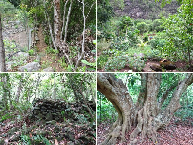 Quelques aspects de la traversée par l'Îlet Tata