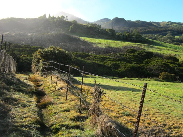Quelques pentes vers le Piton Guichard mais sans grande difficulté