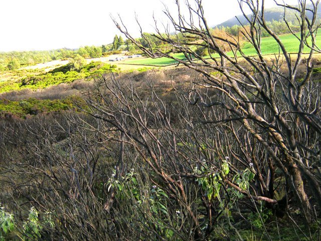 D'autres traces d'incendies