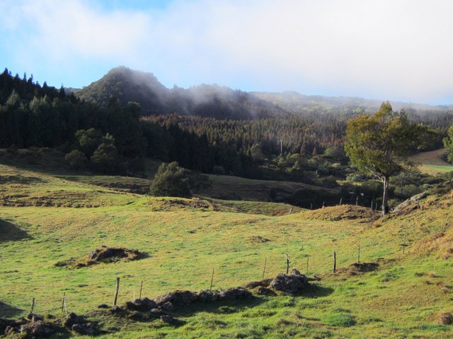 Le Piton d'Acacias en montant vers le Piton Guichard
