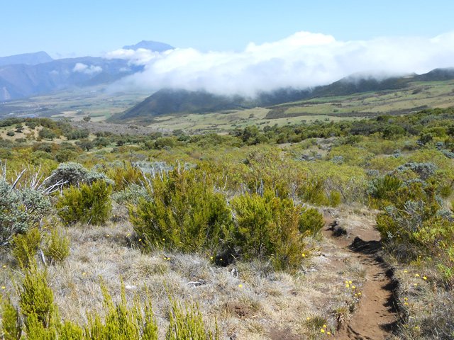 La Plaine des Cafres en montant au col du Nez de Bœuf