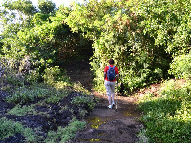 Deux sentier possibles pour quitter le gué de la ravine Dominique