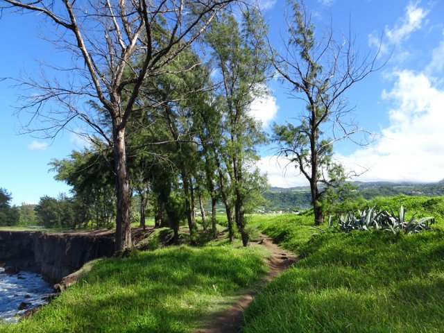 Sentier toujours très agréable dans les hautes herbes