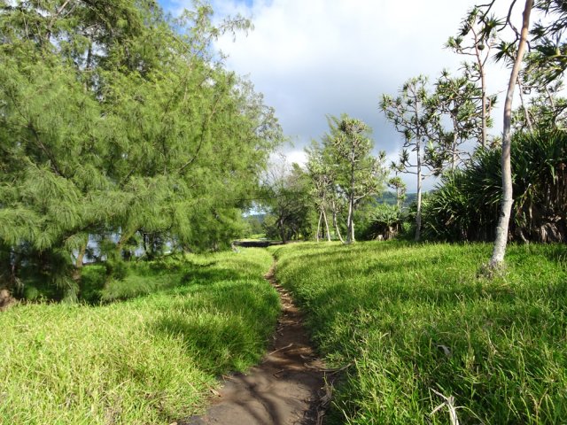Balade à plat entre filaos et pandanus