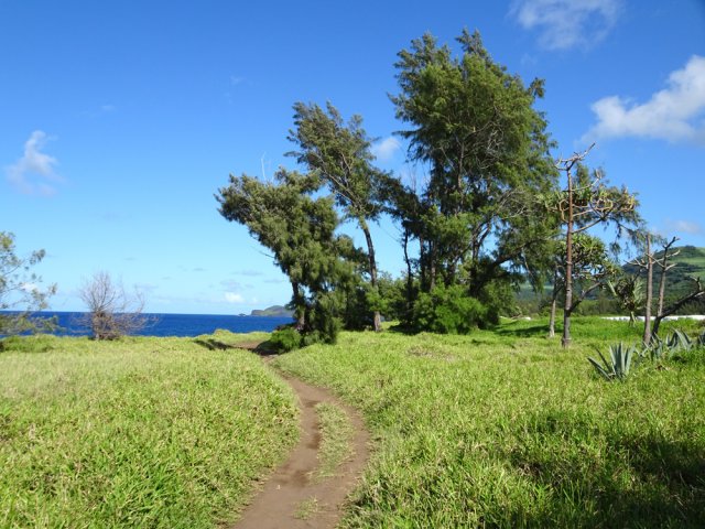 Le sentier s'éloigne parfois de la mer