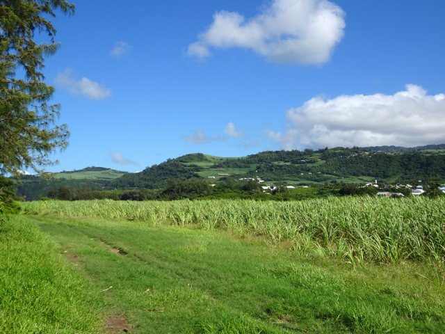 Les prairies du lycée agricole de Saint-Joseph