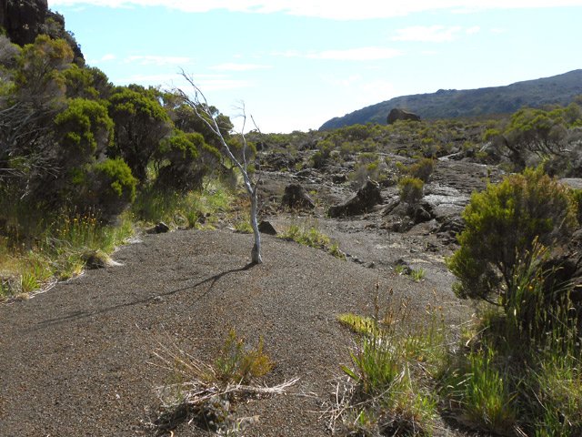 Un hors sentier en toute liberté ne peut être qu'agréable après tous ces barbelés