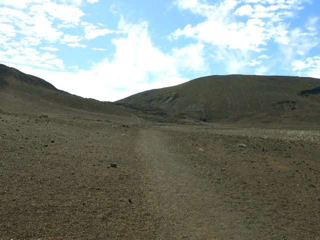 Le GRR2 en direction du gîte du Volcan, très facile dans cette portion